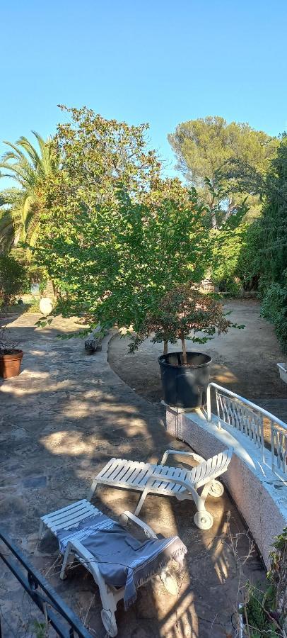 Appartement Et Sa Grande Terrasse En Rez De Jardin Сен-Глф Экстерьер фото